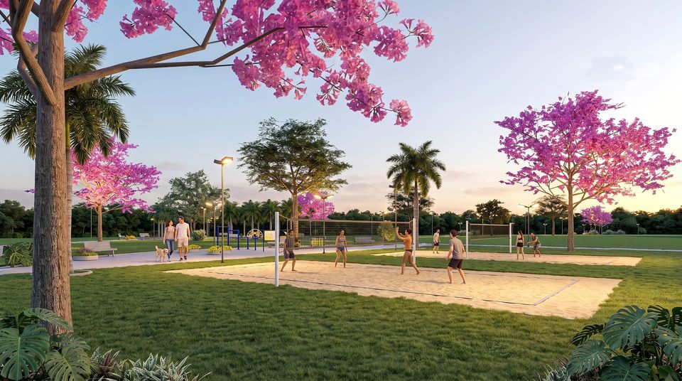 Pessoas jogando vôlei em quadra de areia iluminada, com ipês rosa floridos, palmeiras e um casal passeando com o cachorro